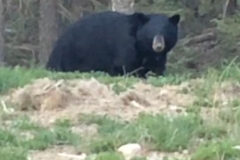 28685468_552573998448911_6761988860244683075_n